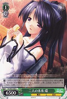 【ヴァイス】C◇二人の未来 環