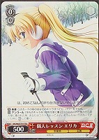 【ヴァイス】TD◇個人レッスン エリカ