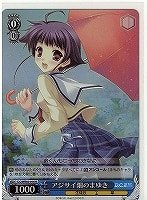 【ヴァイス】R)ホロ仕様◇アジサイ畑のまゆき