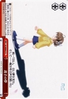 【ヴァイス】C)ノーマル仕様◇迷子の夢