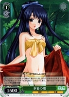 【ヴァイス】C)ホロ仕様◇水着の環