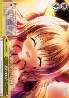 【ヴァイス】Ｃ）ノーマル仕様◇忘れないから。