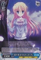 【ヴァイス】SR◇巡り来るキセキ さくら