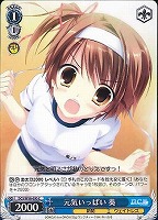 【ヴァイス】C◇元気いっぱい 葵
