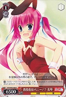 【ヴァイス】C◇普段着はバニー!? 美琴