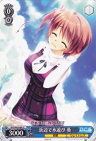 【ヴァイス】C◇浜辺で水遊び 葵