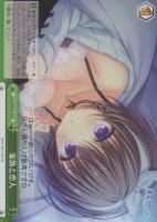 【ヴァイス】N◇家族と恋人