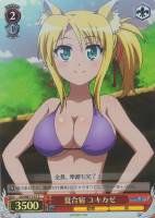 【ヴァイス】C)ホロ仕様◇夏合宿 ユキカゼ