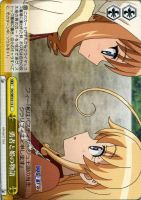 【ヴァイス】C)ノーマル仕様◇勇者と姫の物語