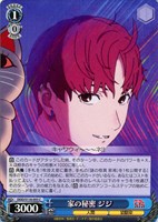 【ヴァイス】Ｃ◇家の秘密 ジジ