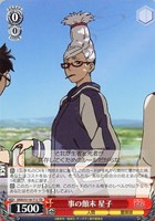 【ヴァイス】TD◇事の顛末 星子