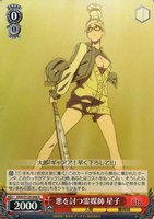悪を討つ霊媒師 星子