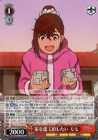 家を建て直したい モモ