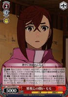 邪視との闘い モモ