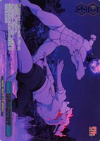 邪視の遊び相手[箔押し]