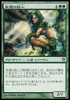 カードを買う マジック ザ ギャザリング イゼットvsゴルガリ Izzet Vs Golgari Ddj アンコモン カード通販 トレコロ トレカシングル販売 買取