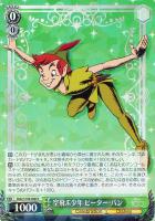 【ヴァイス】R◇空飛ぶ少年 ピーター・パン