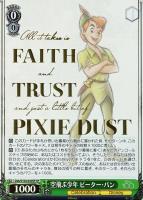 【ヴァイス】SP)箔押し◇空飛ぶ少年 ピーター・パン