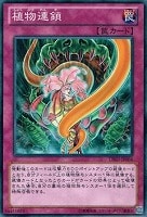 【遊戯王】ノーマル◇植物連鎖