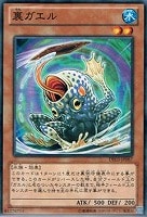 【遊戯王】ノーマル◇裏ガエル