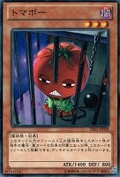 【遊戯王】ノーマル◇トマボー