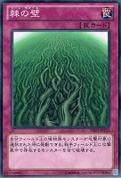 【遊戯王】ノーマル)罠◆棘の壁