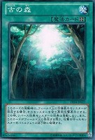 【遊戯王】ノーマル)魔法◆古の森