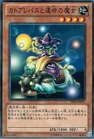 【遊戯王】ノーマル)モンスター◆カトブレパスと運命の魔女
