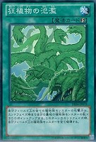 【遊戯王】ノーマル)魔法◆狂植物の氾濫