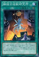 【遊戯王】ノーマル)魔法◇鋼核合成獣研究所