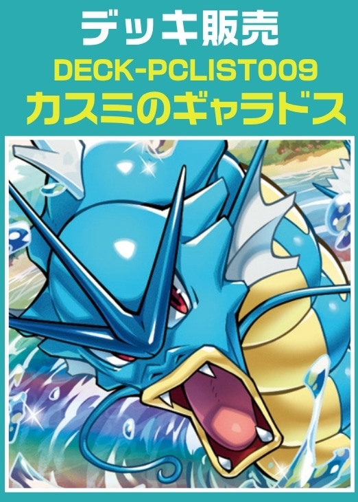ポケットモンスター☆バトルチップネオファイル2☆金コイン1 シューター付き ポケットモンスター☆バトルチップネオファイル2☆金コイン1