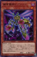 エクソシスターズ・マニフィカ【遊戯王トレカお買得価格通販：トレコロ】