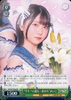 【ヴァイス】プロモ◇“千リ！の道も一歩から”みいこ[品番a]