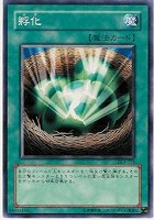 【遊戯王】ノーマル◇孵化