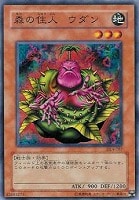 遊戯王  ヴァンパイア・ロード DL4-129 PSA9 遊戯王】ヴァンパイア・ロード | トレカ販売 - トレマ