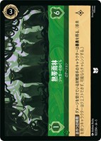 アナ 外交的な女王【ロルカナお買得価格通販：トレコロ】