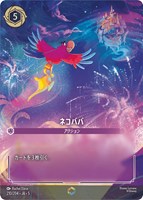 アナ 外交的な女王【ロルカナお買得価格通販：トレコロ】