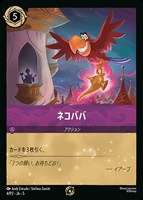 カードを売る/ディズニー・ロルカナ/PRカード/ カードボックス