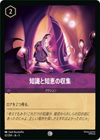 【ロルカナ】コモン)通常版◇知識と知恵の収集