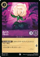 【ロルカナ】コモン)通常版◇白バラ 花園の宝石