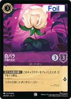 【ロルカナ】コモン)Foil◇白バラ 花園の宝石