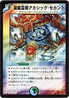 カードを売る/デュエル・マスターズ/通常シリーズ/DM-13 聖拳編 カードを売る/デュエル・マスターズ/通常シリーズ/DM-13 聖拳編