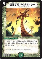 デュエマ】 ファニー・クロウラー(P34/Y4) 第4期/プロモ の通販