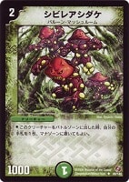 【デュエマ】アンコモン◇シビレアシダケ