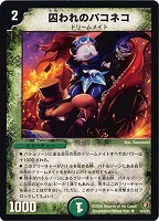 カードを売る/デュエル・マスターズ/通常シリーズ/DM-21 不死鳥
