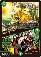 カードを売る/デュエル・マスターズ/構築済みデッキ[ウィン編