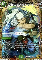 逆転の剣スカイソード[宝箱金]