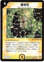 【デュエマ】アンコモン◇線光花