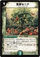 状態A-〕DM-08「闘魂編 第3弾 超神龍の復活」【-】{-}《未開封BOX》