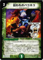 【デュエマ】レア◇囚われのパコネコ